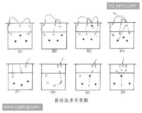 从零基础到高手:全面掌握排球配合技巧与战术解析 从零基础到高手:全面掌握排球配合技巧与战术解析