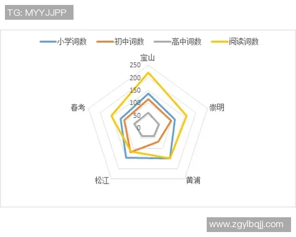 武汉网球队实力深度解析与对比分析全面解读